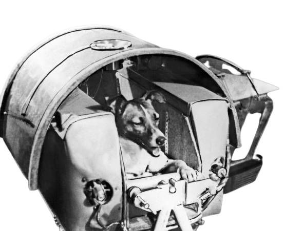 laika-space-dog